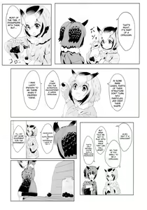 Page 5 of CURIOSITY - preview thumbnail