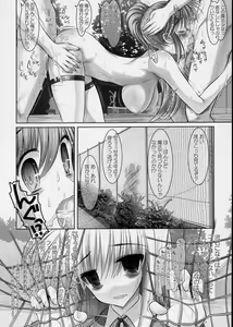 Page 17 of New Nanoha-san. + Shamal-san. - preview thumbnail