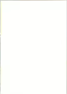Page 2 of IRIE FILE RED - preview thumbnail