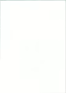 Page 3 of 20121231.C83 - preview thumbnail