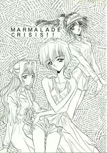 Page 3 of MARMARADE CRSIS!! - preview thumbnail