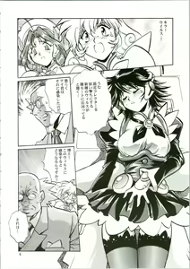 Page 6 of CORRECTOR - preview thumbnail