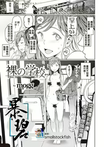 Hadaka no Gakkou | 裸体学校 — hentai manga cover on Fhentai
