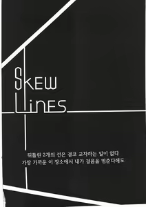skew Lines - hentai manga cover image