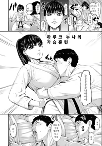 Page 3 of Haruko Onee-chan no Oppai Keiko | 하루코 누나의 가슴훈련 - preview thumbnail