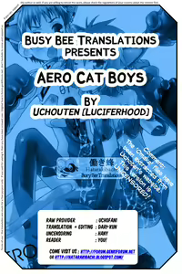 Page 11 of AERO CAT BOYS - preview thumbnail