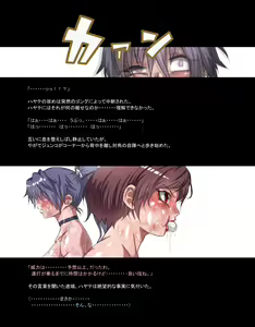 Page 508 of Mitsubachi Suzumebachi - preview thumbnail