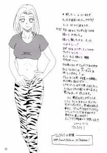 Page 22 of DOA+3 - preview thumbnail