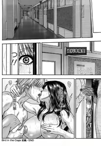 Page 149 of Zutto Oneechan no Turn!! - preview thumbnail