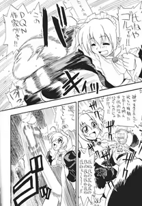 Page 14 of MAID GP2001 - preview thumbnail