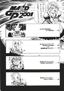 Page 3 of MAID GP2001 - preview thumbnail