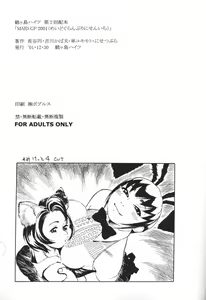 Page 41 of MAID GP2001 - preview thumbnail