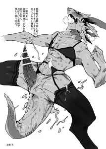 Page 17 of ♂ Kemo Lingerie Book - preview thumbnail