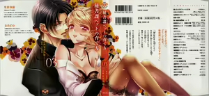 Hishoka Pet no Sodatekata 3 - hentai manga cover image