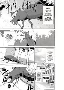 Sasara no Mushiasobi — hentai manga cover on Fhentai