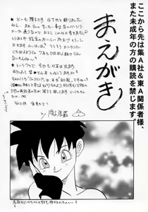 Page 5 of HoHeTo - preview thumbnail