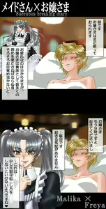 Page 116 of Succubus Choukyou Nisshi - preview thumbnail