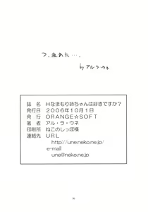 Page 29 of H-na Mamori Nee-chan wa Suki Desu ka? - preview thumbnail