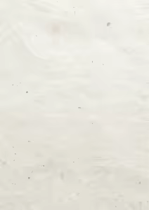 Page 180 of Hatsujou Kedamono Koubiroku | 발정 암컷짐승 교미록 - preview thumbnail