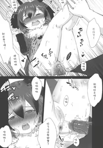 Page 18 of JAPARI AUCTION - preview thumbnail