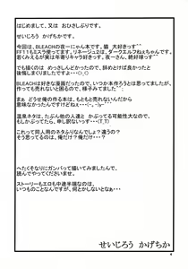 Page 3 of Yoruichi Nyan no Hon - preview thumbnail