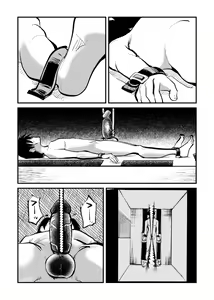 Page 15 of Kyosei Nyuumon (decensored) - preview thumbnail