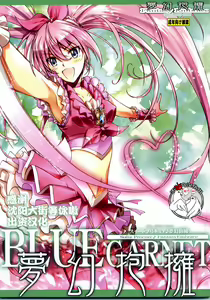Mugen Houyou — hentai manga cover on Fhentai