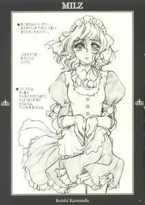 Page 13 of MILZ - preview thumbnail