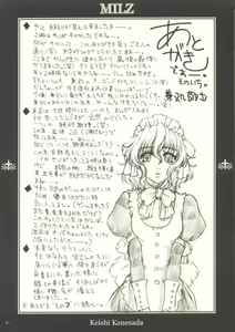Page 20 of MILZ - preview thumbnail
