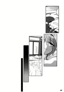 Page 29 of TOHO N+ SSR - preview thumbnail