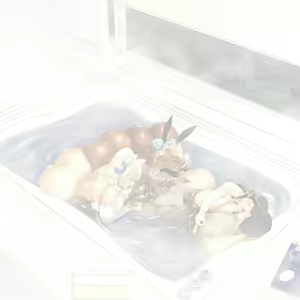 Page 777 of Saimin AV Appli - preview thumbnail