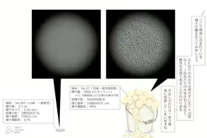 Page 8 of Futanari Keisoku - preview thumbnail