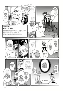 Page 98 of Nekokino to Ame no Machi - Cat Mushroon Girl And Town of Rain - preview thumbnail