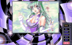 Page 213 of Virtuacall 2.2 - preview thumbnail