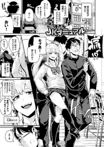 Page 3 of JK Manual - preview thumbnail