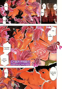 Cyber Rabbit — hentai manga cover on Fhentai