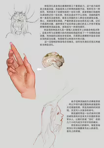 Page 37 of 圣女教 - preview thumbnail