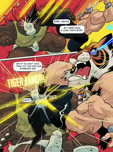 Page 13 of Tigermask X HD - preview thumbnail