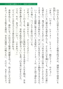 Page 533 of 2D Dream Magazine Vol. 112 - preview thumbnail