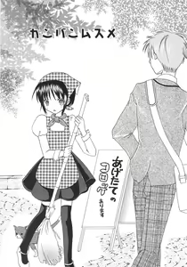 Page 28 of IN THE SKIRT - preview thumbnail
