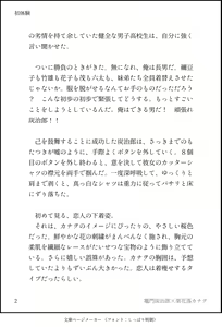 Page 3 of Shotaiken - preview thumbnail