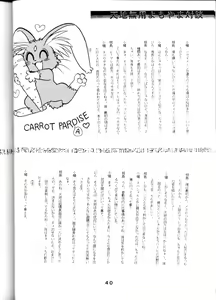 Page 39 of Tenchi Touraku DDT - preview thumbnail