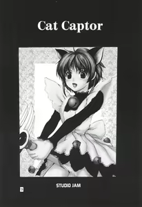 Page 5 of Cat Captor - preview thumbnail