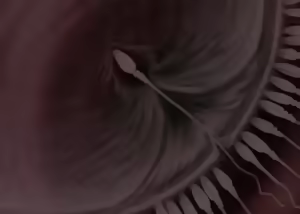 Page 303 of VR Rape to Kairaku Ochi Player Shoujo no Matsuro - preview thumbnail