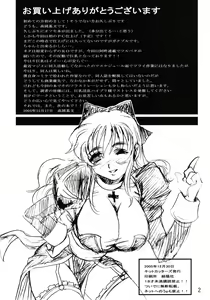 Page 3 of HIGHER-HIGH - preview thumbnail