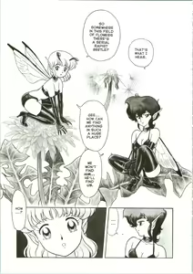 Page 4 of The New Bondage Fairies 07 - preview thumbnail