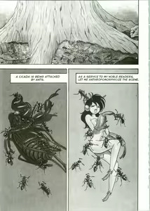Page 4 of The New Bondage Fairies 10 - preview thumbnail