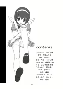 Page 4 of IRAB - preview thumbnail