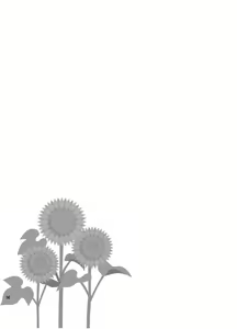 Page 54 of Pool - preview thumbnail
