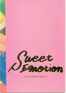 Page 22 of Sweet Emotion - preview thumbnail